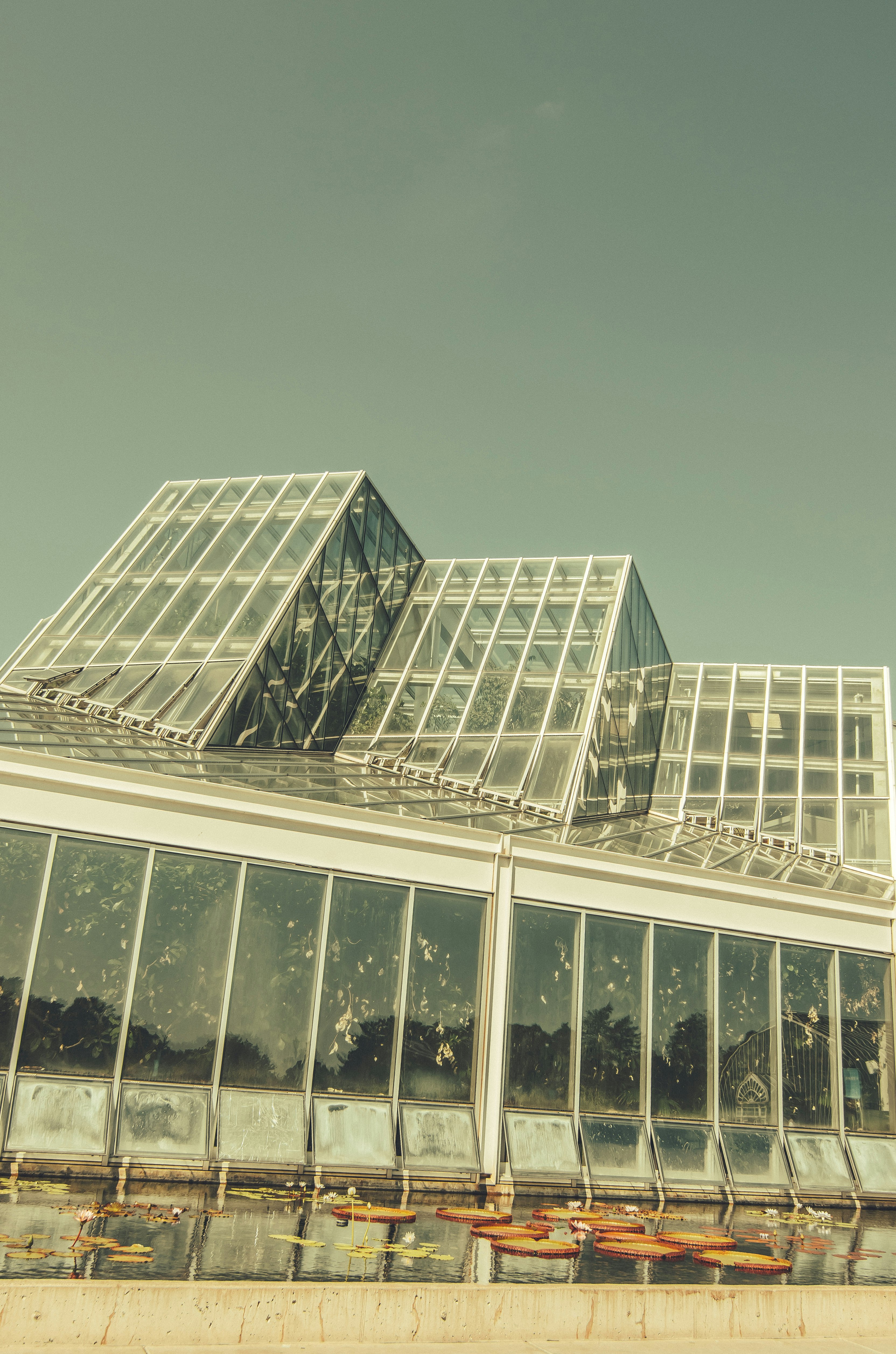 glass building under gray sky